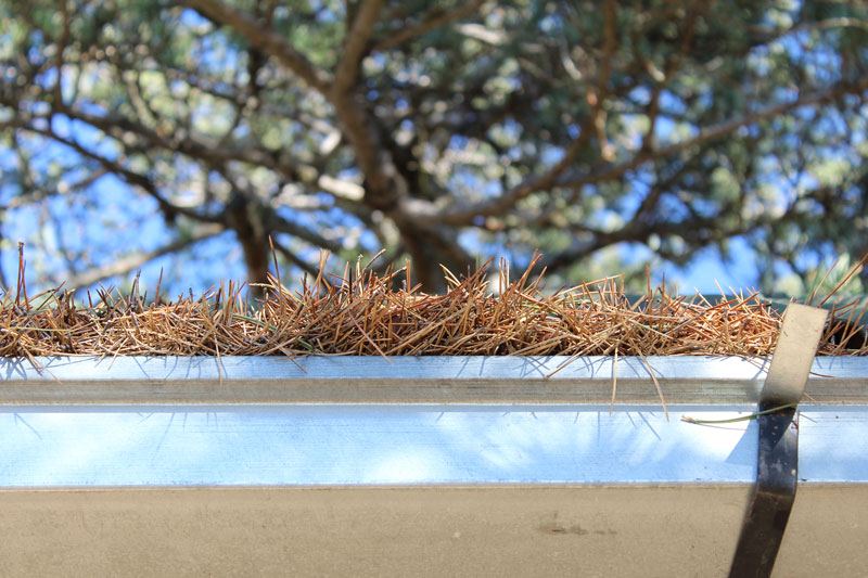 Spring-Cleaning-Gutters-Cleanline